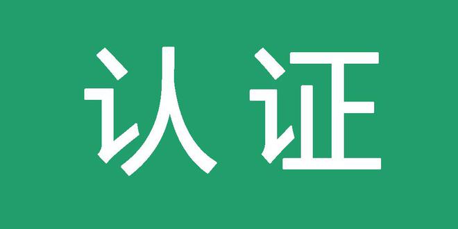 网站蜘蛛池怎么做的